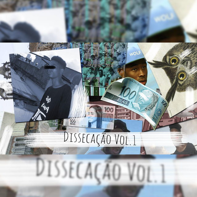 Dissecação, Vol. 1