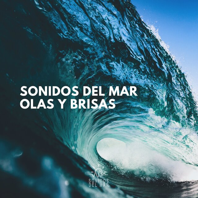 Sonidos del Mar: Olas y Brisas