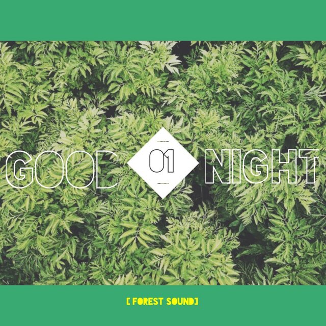 Have a goodnight, Natural Healing Sound