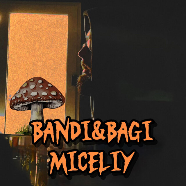 Miceliy