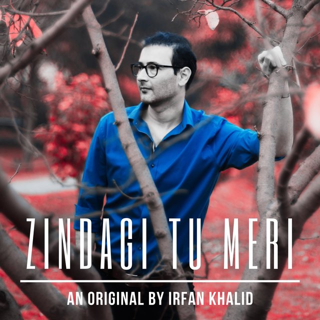 Zindagi Tu Meri