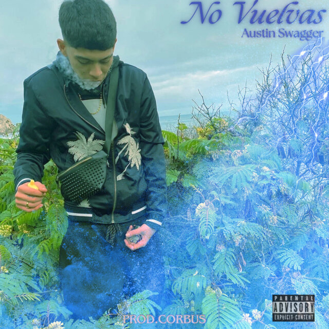 No Vuelvas