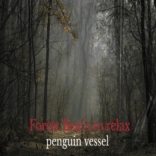 Forest Beats to Relax