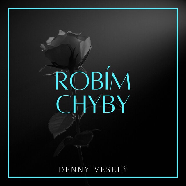 ROBÍM CHYBY