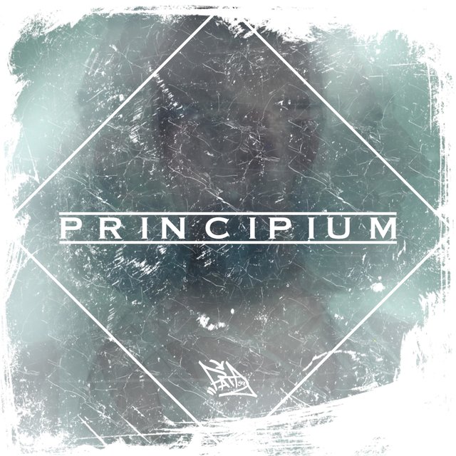 PRINCIPIUM