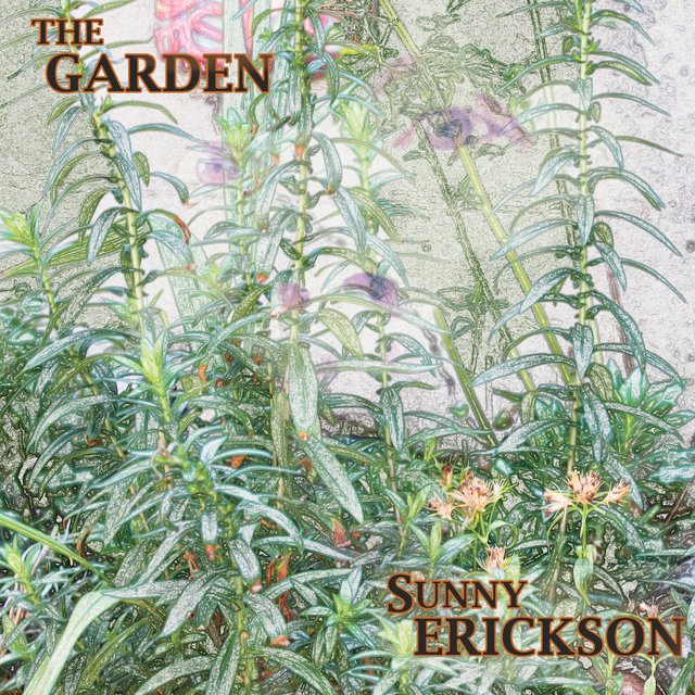 The Garden