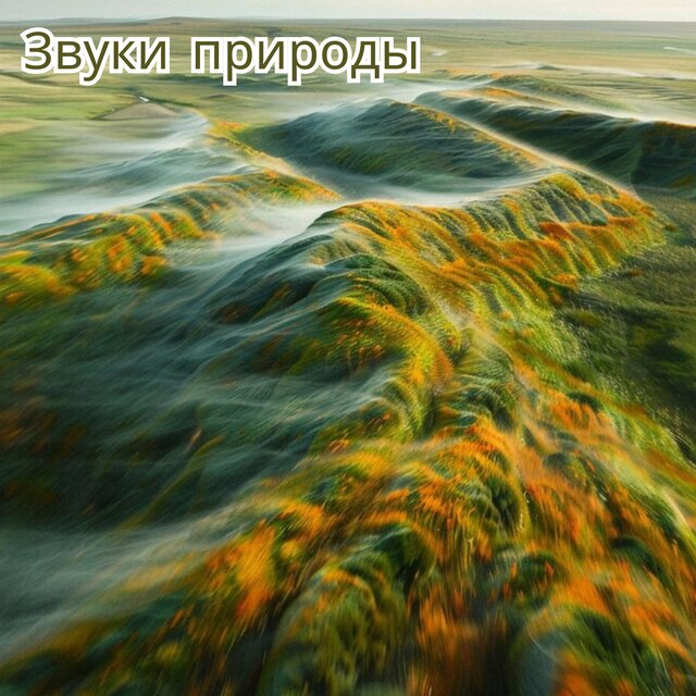 Звуки природы