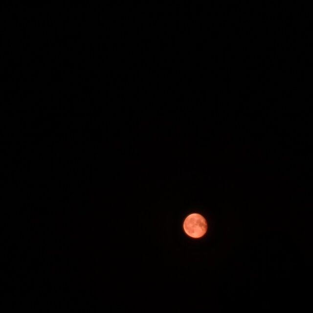 Прости меня (Interlude)