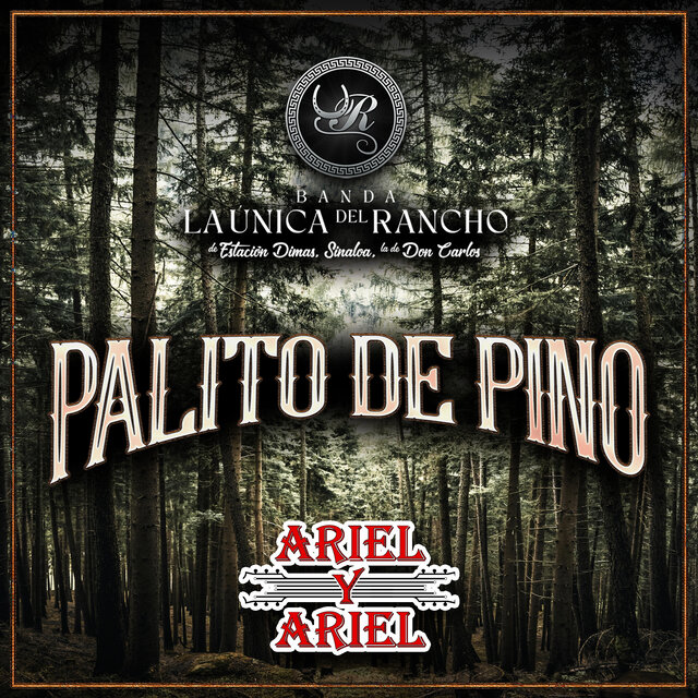 Palito de Pino