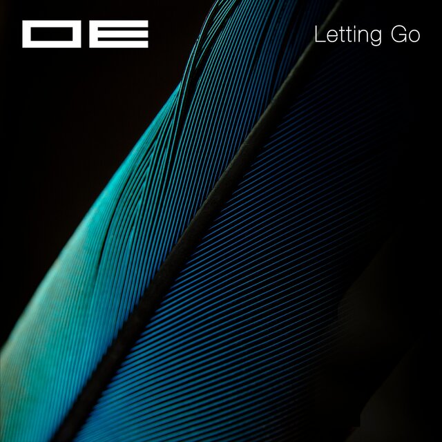 Letting Go (Suchness 6)