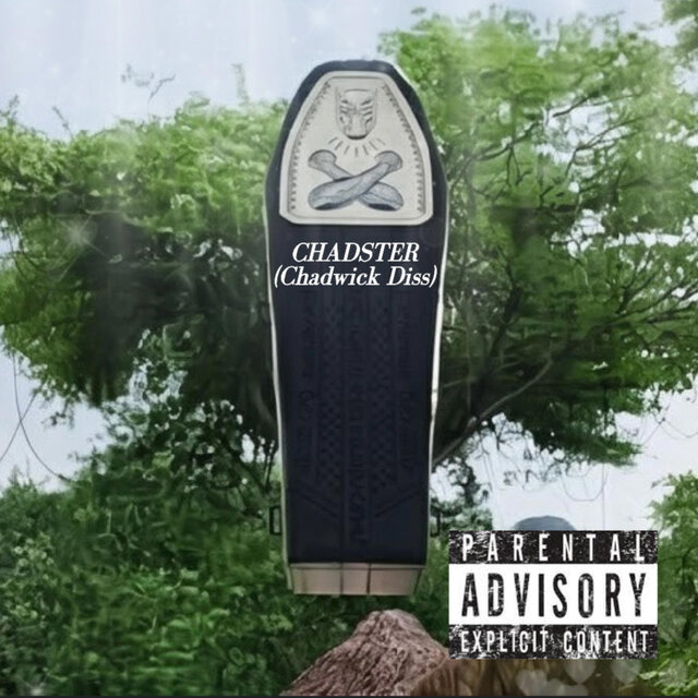 CHADSTER (Chadwick Diss)