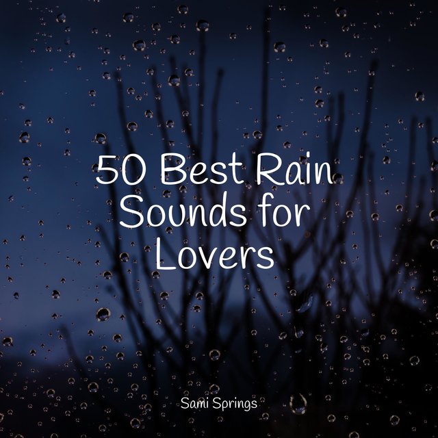 50 Best Rain Sounds for Lovers
