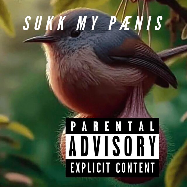 SUKK MY PÆNIS