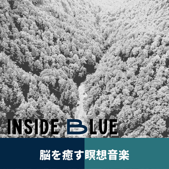 脳を癒す瞑想音楽