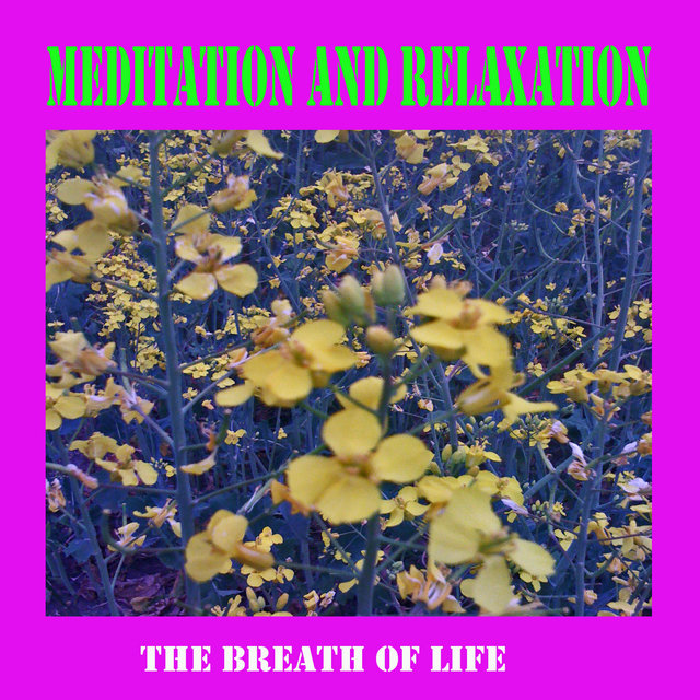 Meditation and Relaxation