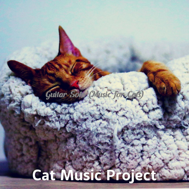 Guitar Solo (Music for Cats)