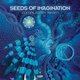 Cover art for album Seeds of Imagination - Compiled by Rikam by Various Artists
