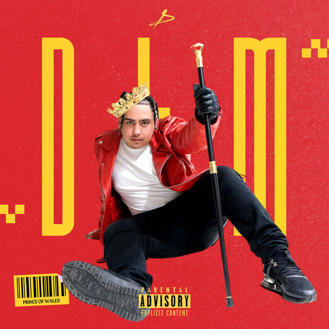 Dlm
