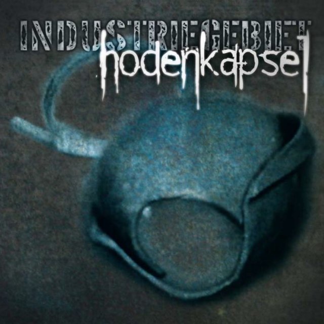 Hodenkapsel