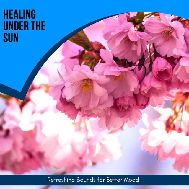 Healing Under The Sun - Refreshing Sounds For Better Mood