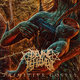 Cover art for album Primitive Gospel by Devine Defilement