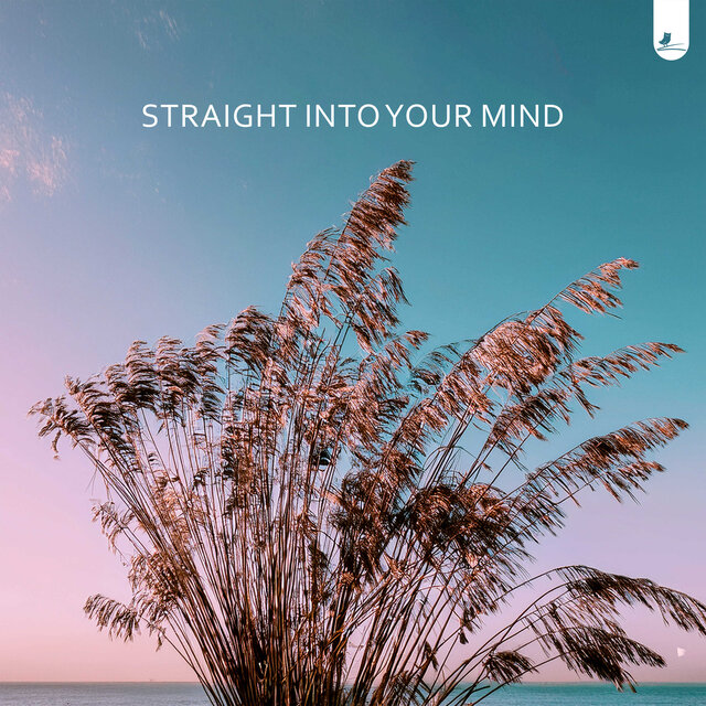 Straight into your Mind