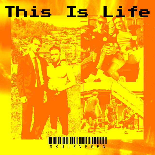 This Is Life