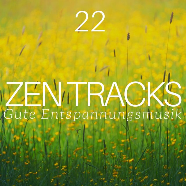 22 Zen Tracks: Gute Entspannungsmusik für Geist, Seele und Körper