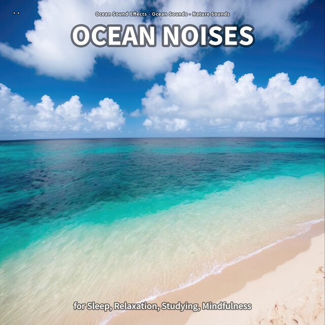 * * Ocean Noises for Sleep, Relaxation, Studying, Mindfulness