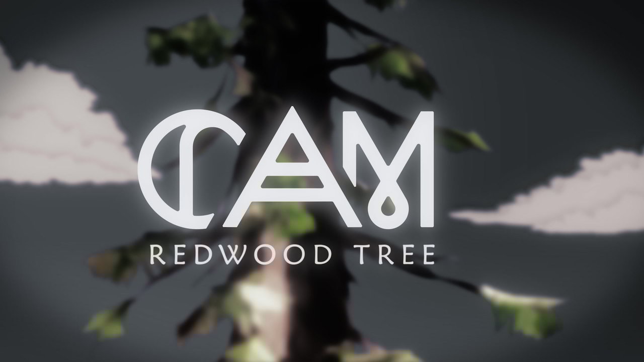 Redwood Tree (Behind The Scenes)