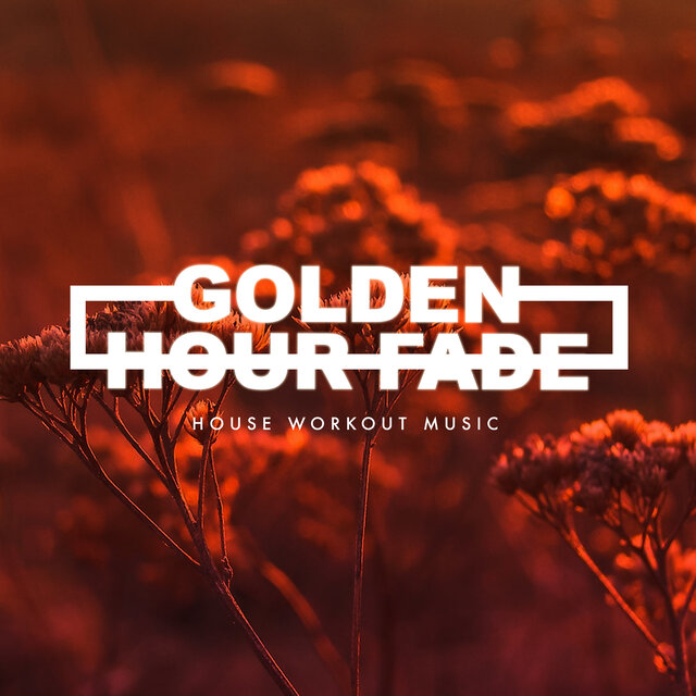 Golden Hour Fade