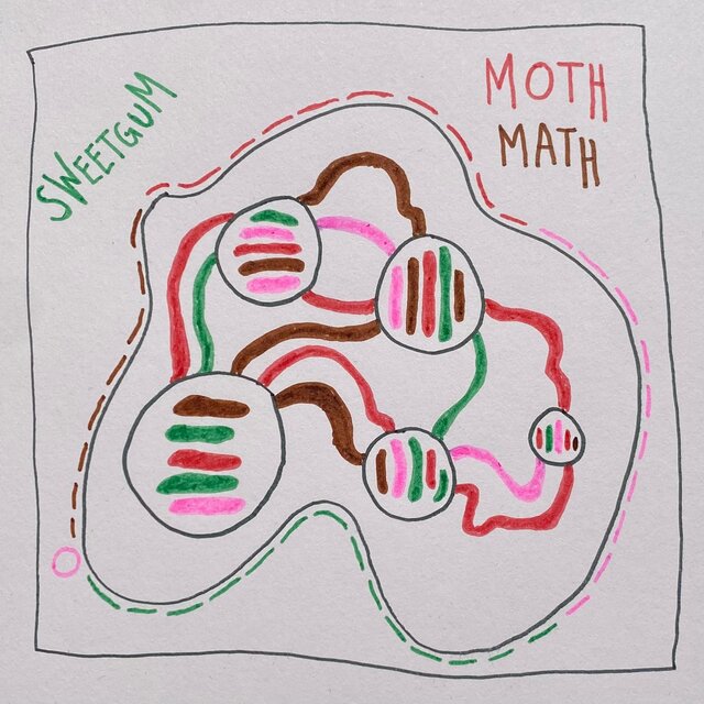 Moth Math