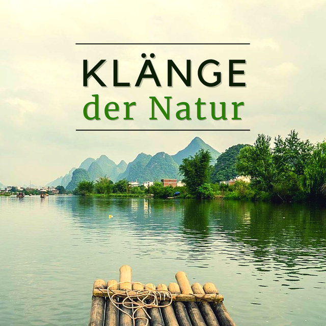 Klänge der Natur: Beruhigende Musik mit Naturgeräuschen zum Meditieren und Entspannen