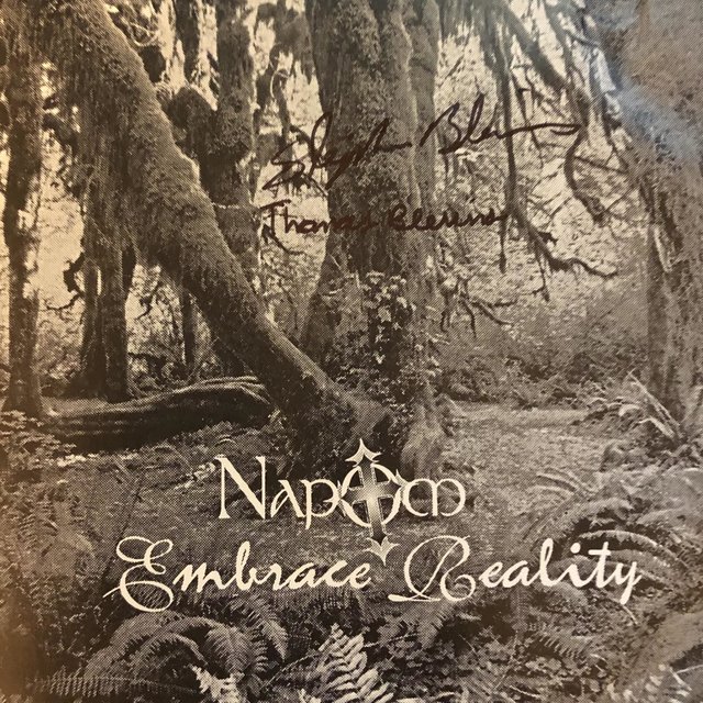Embrace Reality