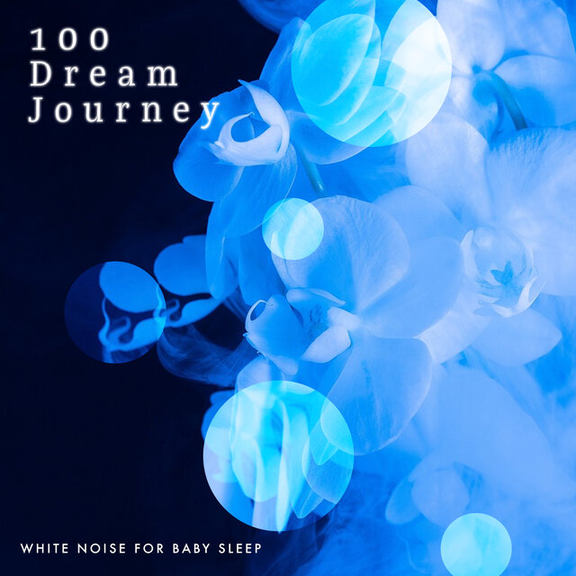 100 Dream Journey