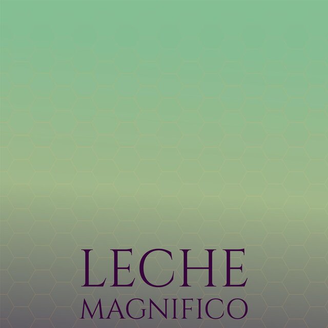 Leche Magnifico