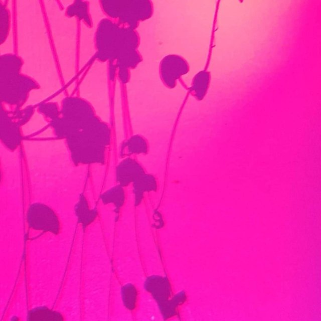 Ambients Thirteen