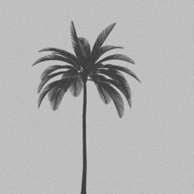 White Summer