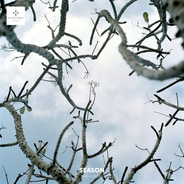 Season