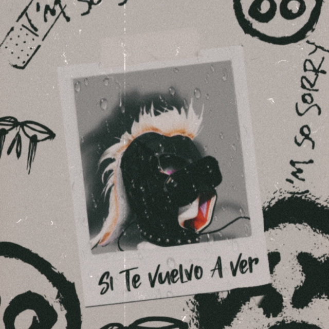 Si Te Vuelvo a Ver