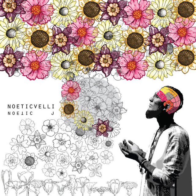NoeticVelli