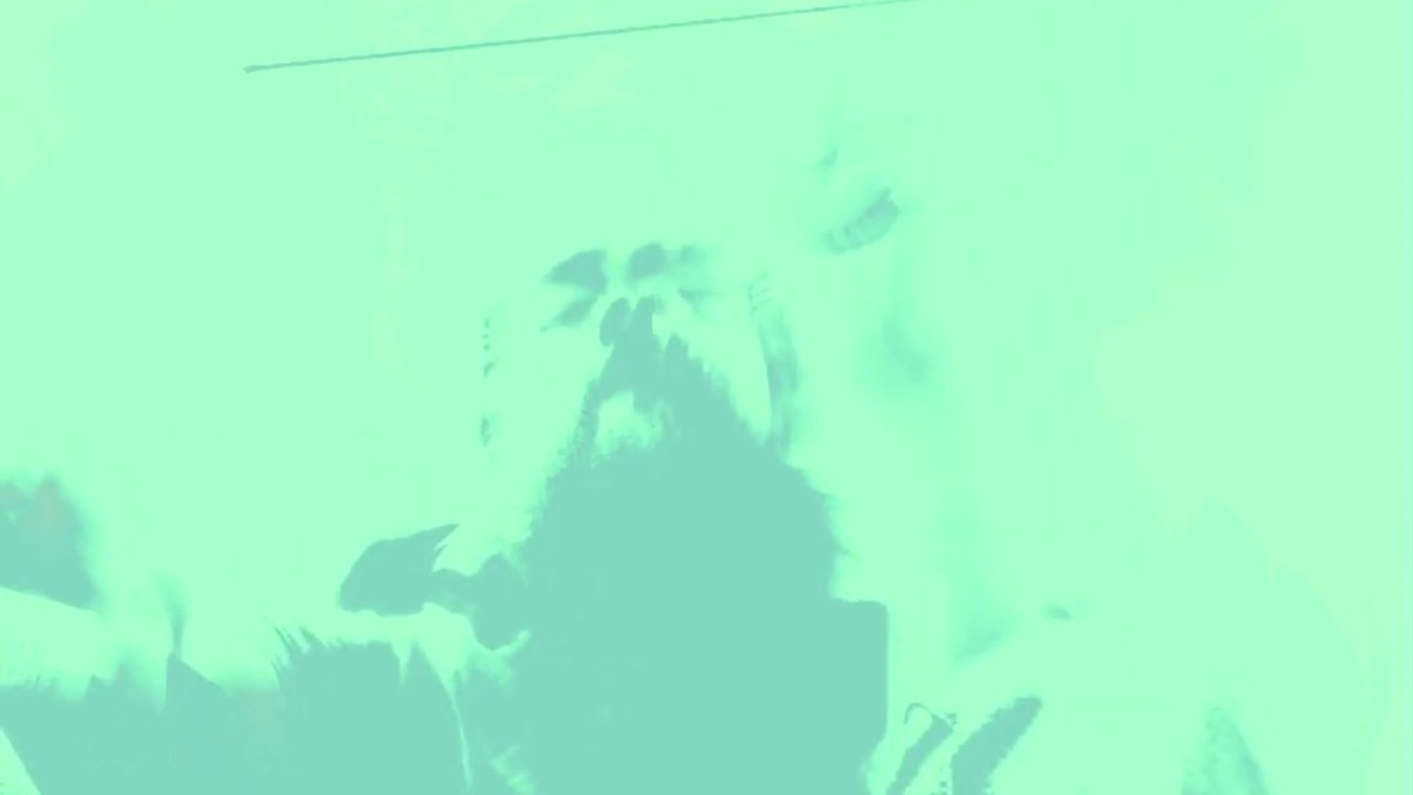 Part 2