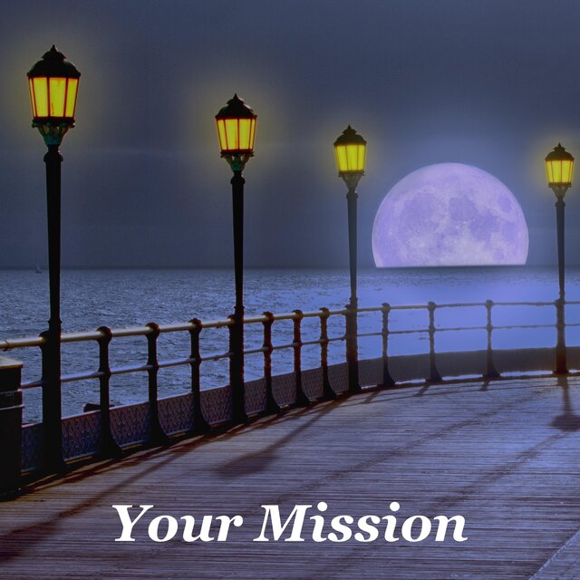 Your Mission