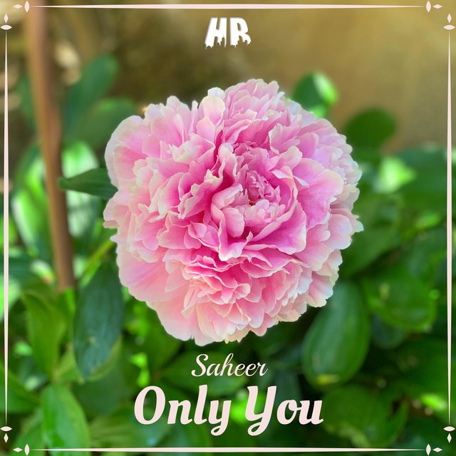 Only You
