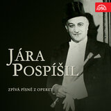 Slovácká princezka. Operetta: 