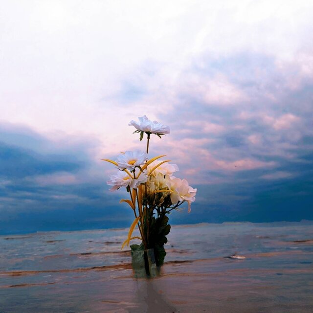 Flowers in the sky
