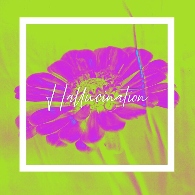 Hallucination
