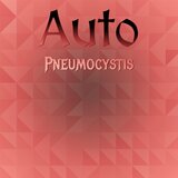 Allegretto Said