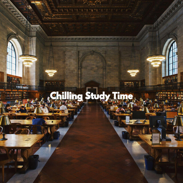 Chilling Study Time