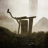 The Fog